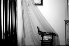 Z8X_6011