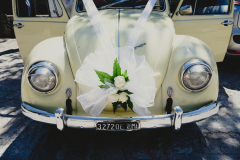 ZRX_8574-2.jpg