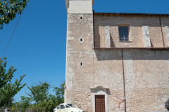 albZRX_8891.jpg
